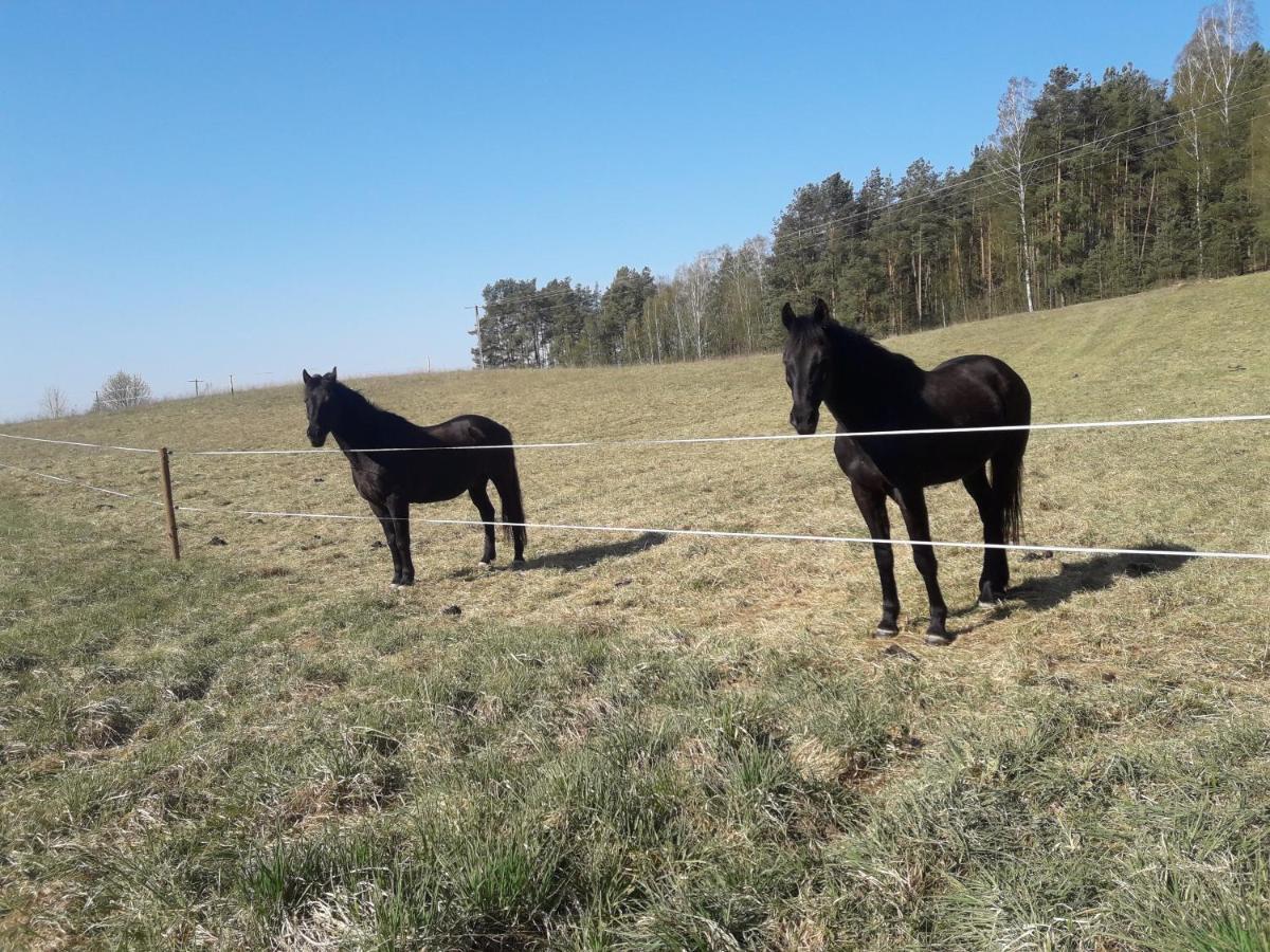 Mikołajki Apartamenty Lubiewo מראה חיצוני תמונה